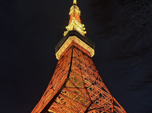 夜の東京タワーの写真