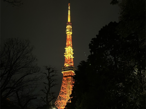 夜の東京タワーの写真