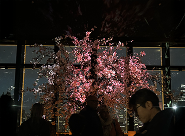 TOKYO TOWER CITY LIGHT FANTASIA ~Spring Concerto 2026~の桜のプロジェクトマッピングショー